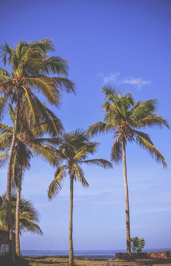 Simple Beach Lodge ลาส เปนีตาส ภายนอก รูปภาพ